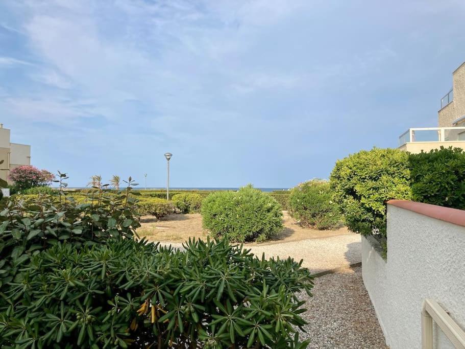 Le Grand Large 3 Pieces En Rez De Jardin, Avec Terrasse Et Acces Direct A La Plage A Pied Le Barcarès Esterno foto